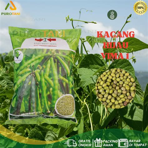 Jual Benih Kacang Hijau VIMA 1 Cap PANAH MERAH 1Kg Terbaru