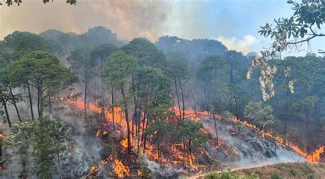 Cofom Exhorta Cofom A Extremar Precauciones Para Prevenir Incendios