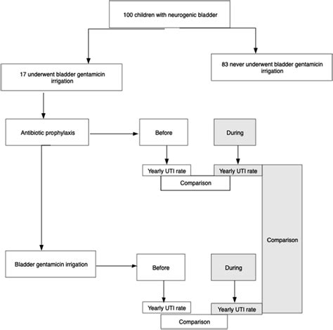 Intravesical Gentamicin Instillation In The Prevention Of Recurrent