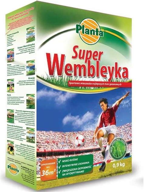 Trawa Super Wembley Mocna Sportowa Na Boisko 0 9Kg Ceny I Opinie