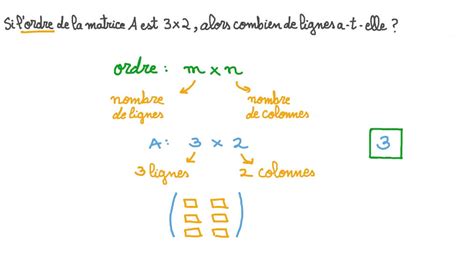 Vid O Question D Terminer Le Nombre De Lignes Dans Une Matrice Tant