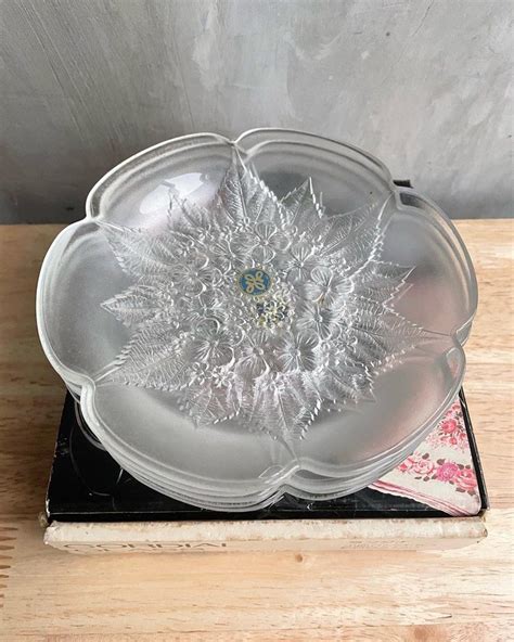 🇯🇵 5 Pc Hoya Crystal Cordial Glass Collection Floral Dessert Plates Furniture And Home Living