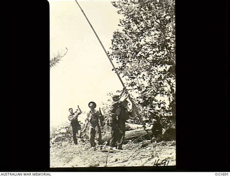 Noemfoor Island Dutch New Guinea C Members Of The Raaf