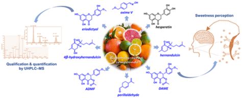 科学家在柑橘类水果中发现新甜味增强化合物 科学探索 Cnbetacom