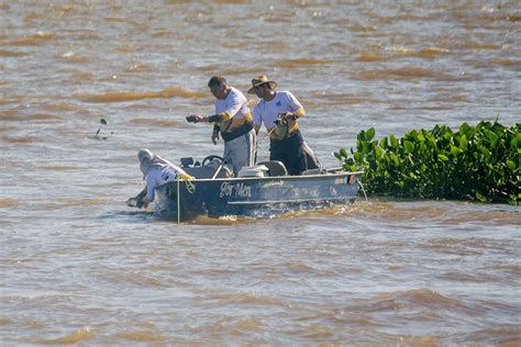 Defeso Da Piracema Come A Dia De Novembro E Ltimo Fim De Semana De