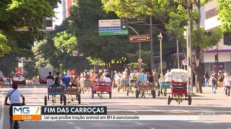 Lei Que Pro Be Carro As Puxadas Por Animais Sancionada Em Bh Minas