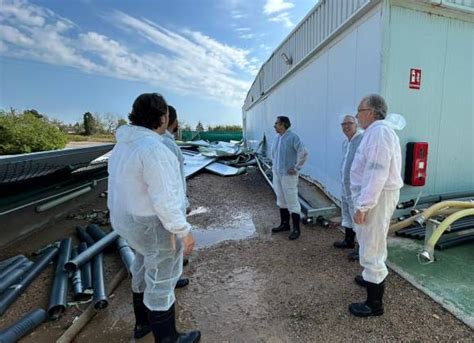 Pérdidas millonarias en el campo por el reventón húmedo que también