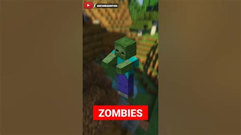 Minecraft Zombies And Villagers Unknown Secret Fact Youtube