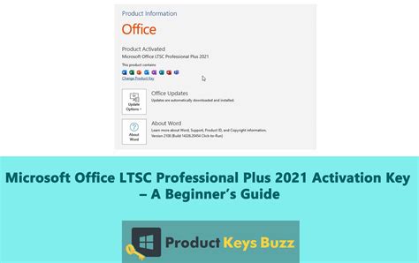 Microsoft Office Ltsc Professional Plus 2021 Activation Key 100