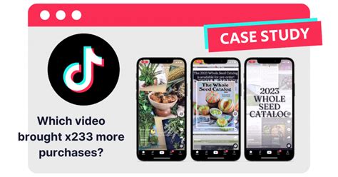 Ppc Case Study X More Purchases With Tiktok Video Scandiweb