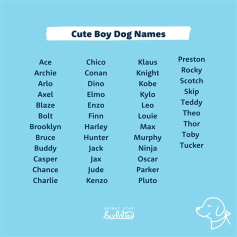 Top 200 Dog Names Cute Dog Names Youll Love Bsb