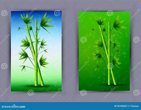 Vector Creative Bamboo Poster Eps10 Stock Vector Illustration Of