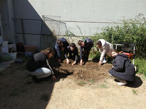 PLANTEM PATATES Institut Escola Pi Del Burgar