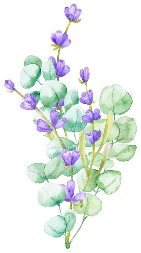 A Bouquet Of Green Eucalyptus Leaves And Lilac Lavender Watercolor