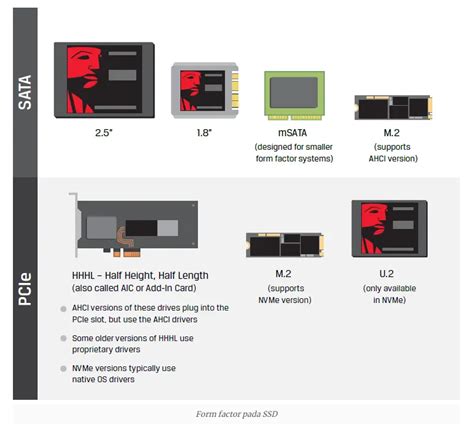 Kenali Perbedaan Ssd Sata Vs Nvme Vs M Ruanglab Id