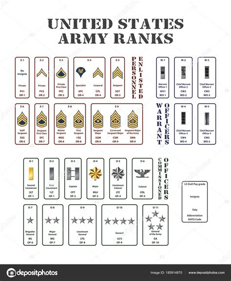 Set Ranks United States Army ⬇ Vector Image by © angusgrafic | Vector ...