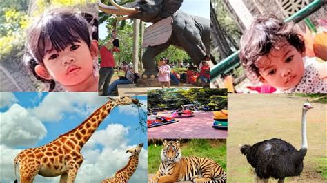 Wisata Kebun Binatang Ragunan Taman Bermain Anak Anak Youtube