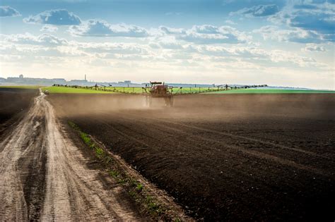 Przedwschodowe Odchwaszczanie Kukurydzy Dlaczego Warto Sumi Agro