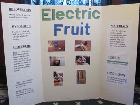 10 Attractive Fourth Grade Science Project Ideas 2024