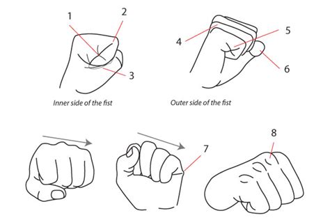 Human Anatomy Fundamentals How To Draw Hands Envato Tuts