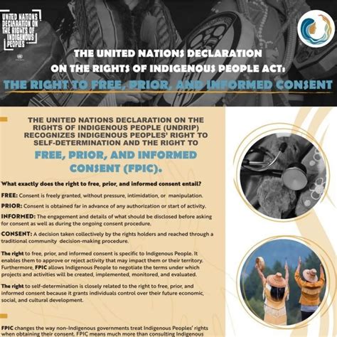 United Nations Declaration On The Rights Of Indigenous Peoples UNDRIP