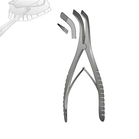 pinza de expansion tessier madani grupo system