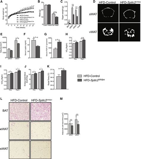 Adipocyte Ceramides Regulate Subcutaneous Adipose Browning