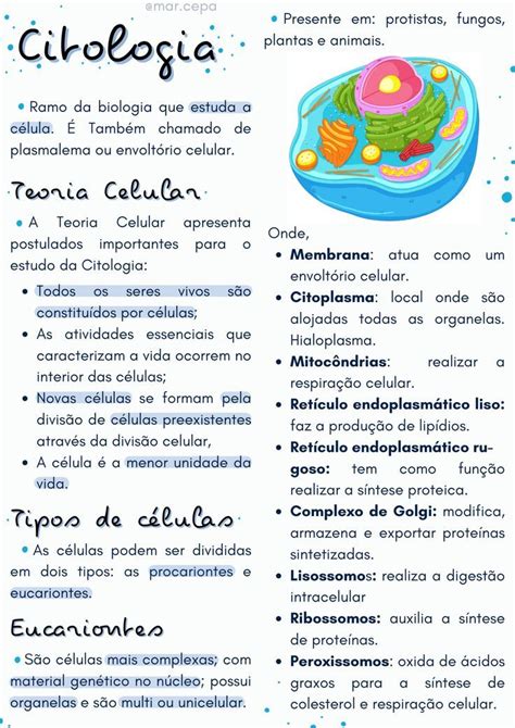 Tipos De Celulas Resumo Citologia Citologia Tipos De Celulas Images