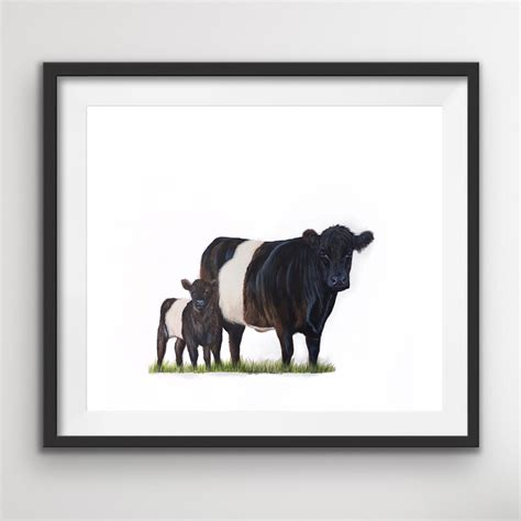 Belted Galloway Cows Belties Cow And Calf Cows Cattle Cow Etsy