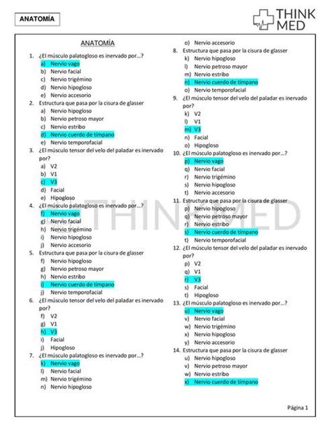 Anatomia Thinkmed Udocz