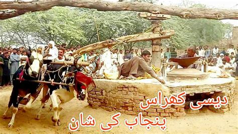 Khras Atta Chakki Of Punjab Bull Powered Flour Mill Oxen Operated