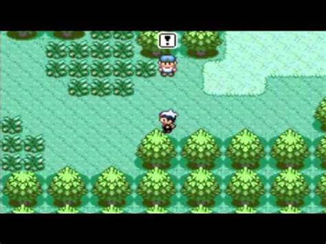 Pokemon Zafiro El Comienzo De Una Nueva Aventura Como Parte Atrapar A