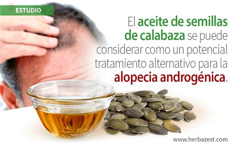 Aceite De Semillas De Calabaza Beneficia A Hombres Con Alopecia Androg Nica