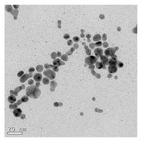 Physicochemical Properties Of Agnps A Tem Image Of Agnp Prepared By