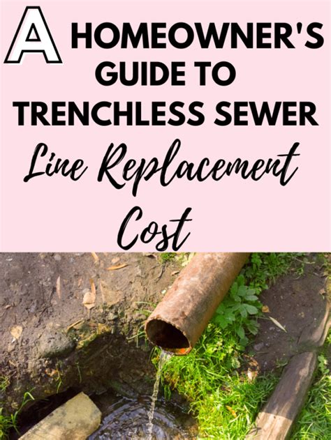 A Homeowners Guide To Trenchless Sewer Line Replacement Cost