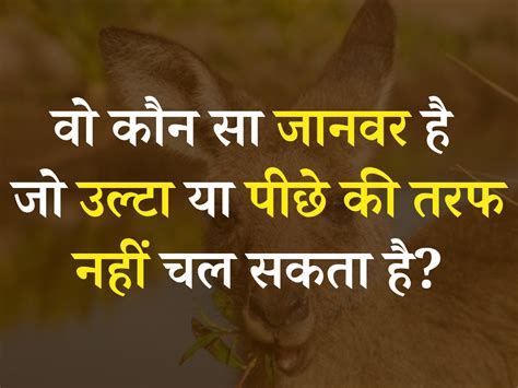 Trending Gk Quiz Which Is The Animal That Cannot Walk Upside Down Or