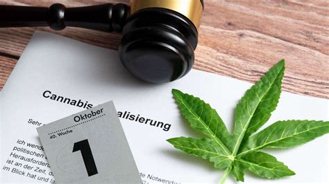 Cannabis Legalisierung In Deutschland Starttermin Um Sechs Monate