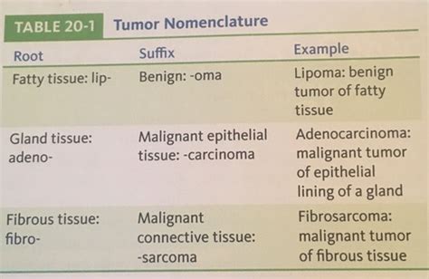 Pathophysiology Chapter 20 Neoplasms And Cancer Flashcards Quizlet