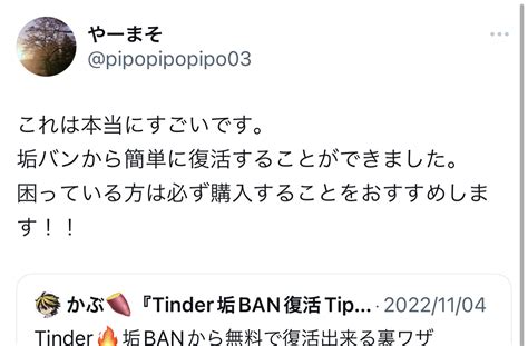 【最新版】tinder🔥垢banから無料で復活出来る裏ワザ【特典付き】【返金保証あり】 Tips