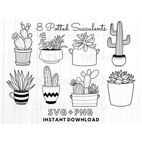 Cactus Pots Svg Bundle Succulents Svg Cactus Svg Pott Inspire