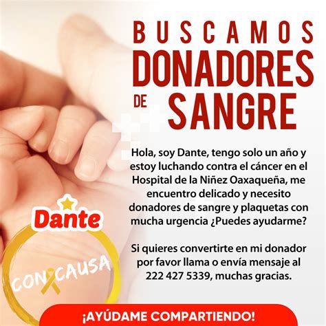 Inquisidoroax On Twitter Rt Concausamx Dante Es Un Bebito Que Est