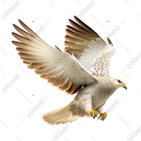 Majestic Bald Eagle In Flight Png Images Psd Free Download Pikbest