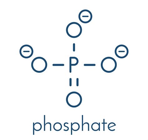 Phosphate Vs Phosphite Lets Know About Both