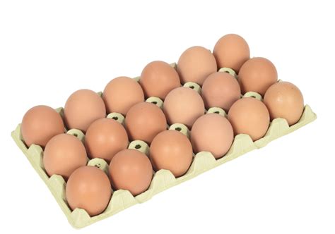 15 Dozen Eggs 18 Eggs Every Day Farm Fresh