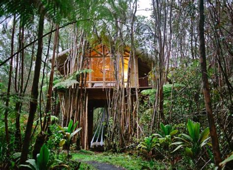 Hawaii Treehouse Airbnb Takes Jungle Living To A Whole New Level