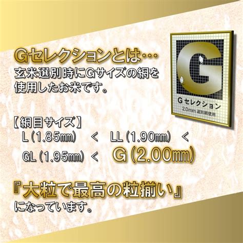 令和3年 山形県庄内産 雪若丸 玄米20kg Gセレクション 特別栽培米 最も安い