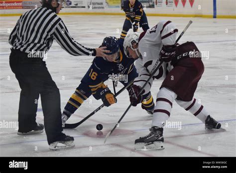 Concordia Stingers Hi Res Stock Photography And Images Alamy