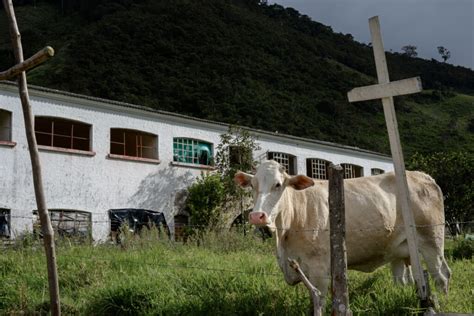 Así es el Pueblo de la Memoria Histórica Consonante