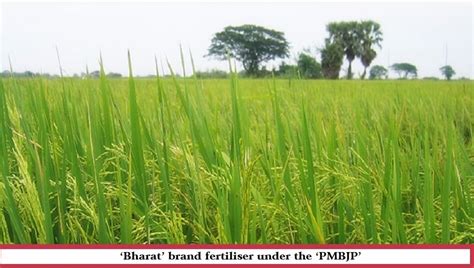 Why Govt Launch ‘one Nation One Fertilizer Single Bharat Brand