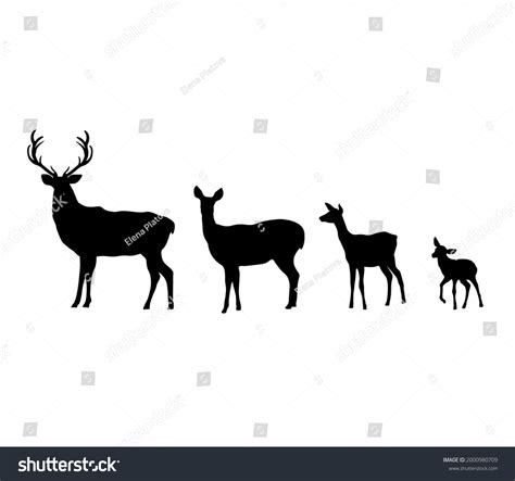 186 Mama Deer Baby Deer Images, Stock Photos, and Vectors | Shutterstock